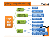 [문제해결기법] 티켓몬스터(티몬) 소비자 문제를 위한 해결방안-11