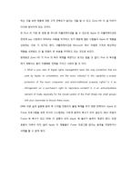 애플의 폐쇄적인 정책-15