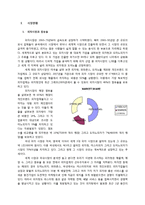 [국제경영] 피자헛과 도미노피자 비교 분석-3