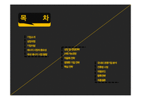 [다국적기업] SK에너지 전략-2