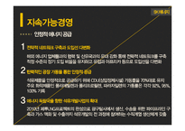 [다국적기업] SK에너지 전략-11