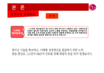 [조직설계] LG전자의 조직구조-13