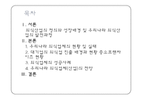 식품외식업체의 현황과 실태 및 전략 -대기업중심의 국내 외식산업 현황 및 실태-2