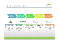 [글로벌 이비즈니스] 풀무원 사례 연구-4