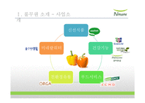 [글로벌 이비즈니스] 풀무원 사례 연구-5