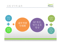 [글로벌 이비즈니스] 풀무원 사례 연구-9