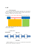 [유통관리] 치킨의 유통과정 -프랜차이즈와 대형마트 비교-4