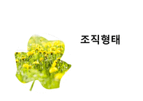 유한킴벌리 조직설계분석-12