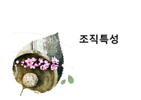 유한킴벌리 조직설계분석-19