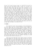 SK텔레콤의 인사관리제도 분석-19