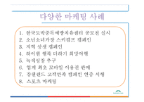 내국인 카지노 `강원랜드` 마케팅 사례 분석-18