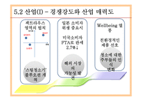한경희 생활과학 ERIS 모델 분석,벤처경영론-20