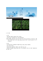그린마케팅Green marketing 현대차와 기아차 하이브리드카0k-5