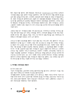 싸이월드와 베스킨 라빈스의 데코마스0k-4