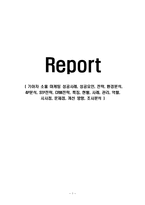 기아차 소울 마케팅 성공사례, 성공요인, 전략, 환경분석, 4P분석, STP전략, CRM전략, 특징, 현황, 사례, 관리, 역할, 시사점, 문제점, 개선 방향, 조사분석-1