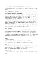 브라질 환경분석(거시환경)-13