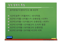 [교육심리학] 학습자의 발달-인지적 발달이론 Piaget, Vygotsky 비교-11