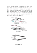 [화학공학] 비행기 엔진 폭발과 대책방안-7