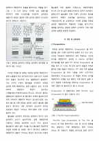 [공학] Encapsulation 공정을 이용한 비정질 태양전지의 수명 개선-2