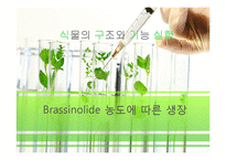 식물의 구조와 기능 실험-Brassinolide 농도에 따른 생장-1