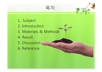 식물의 구조와 기능 실험-Brassinolide 농도에 따른 생장-2