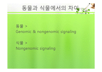 식물의 구조와 기능 실험-Brassinolide 농도에 따른 생장-8