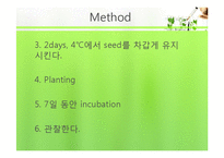식물의 구조와 기능 실험-Brassinolide 농도에 따른 생장-12