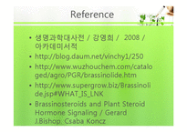 식물의 구조와 기능 실험-Brassinolide 농도에 따른 생장-17