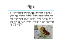[프랑스 문학] 피에르 바야르 비평론으로 본 덤불 숲-4