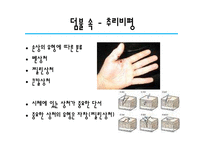 [프랑스 문학] 피에르 바야르 비평론으로 본 덤불 숲-18