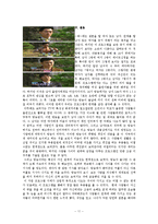 [여성학] 프로그램 `짝`을 통해 바라본 현대인의 연애관 분석-11