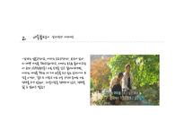 [여성학] 프로그램 `짝`을 통해 바라본 현대인의 연애관 분석-8