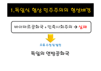 [정치체제론] 의회제 모델-독일식 협상민주주의-3