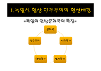 [정치체제론] 의회제 모델-독일식 협상민주주의-4