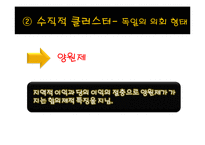 [정치체제론] 의회제 모델-독일식 협상민주주의-13