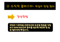 [정치체제론] 의회제 모델-독일식 협상민주주의-14