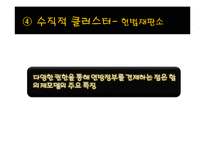 [정치체제론] 의회제 모델-독일식 협상민주주의-15