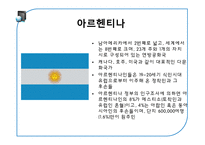 중남미의 다문화 사회 특징-12