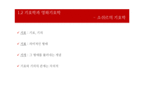 메츠의 구조주의, 정신분석학적 영화기호학-9