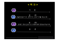 [정치외교학] 아시아, 태평양 지역의 국제제도-2