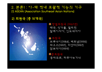 [정치외교학] 아시아, 태평양 지역의 국제제도-6