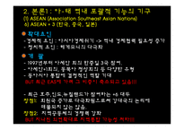 [정치외교학] 아시아, 태평양 지역의 국제제도-12