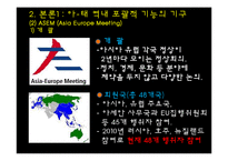 [정치외교학] 아시아, 태평양 지역의 국제제도-13