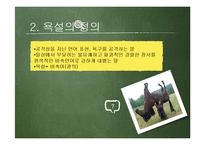 [사회학] 청소년 욕설 현황 및 실태와 시사점 고찰-4