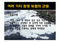 [사회학] 환경위기와 위험사회-5