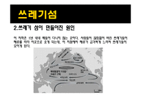 [사회학] 환경위기와 위험사회-9