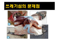 [사회학] 환경위기와 위험사회-10