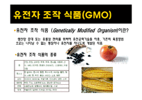 [사회학] 환경위기와 위험사회-13
