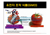 [사회학] 환경위기와 위험사회-17