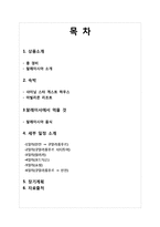 [여행사 경영론] 대학생, 신혼부부 대상 말레이시아 여행상품 설계-2